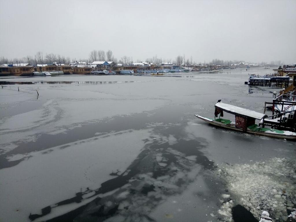 Young Shahzada Group Of Houseboats Srīnagar Extérieur photo